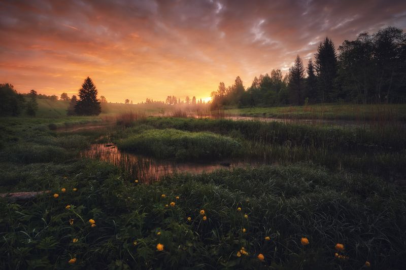 На реке фото превью