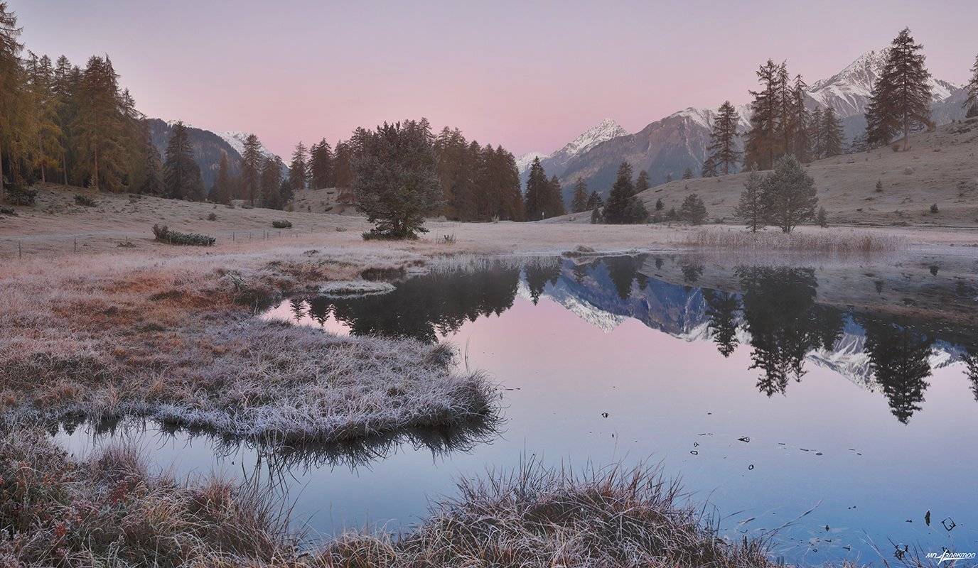swiss, Матвеев Николай