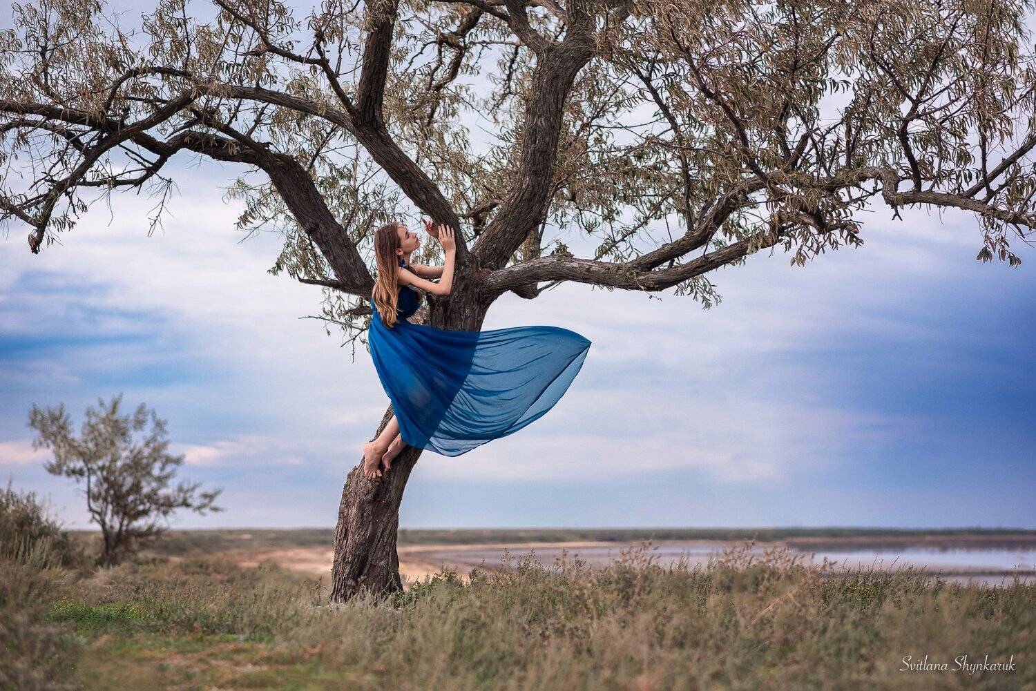 beauty, emotion, portrait, tree, art, idea, ukraine, consolation, Светлана Шинкарук