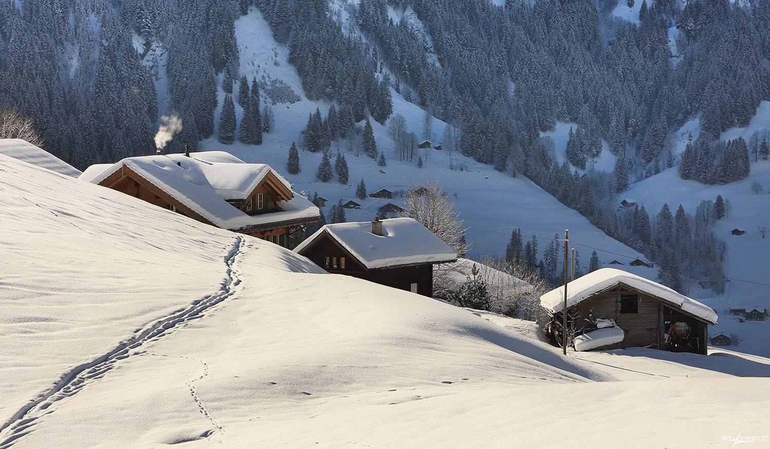 swiss, Матвеев Николай