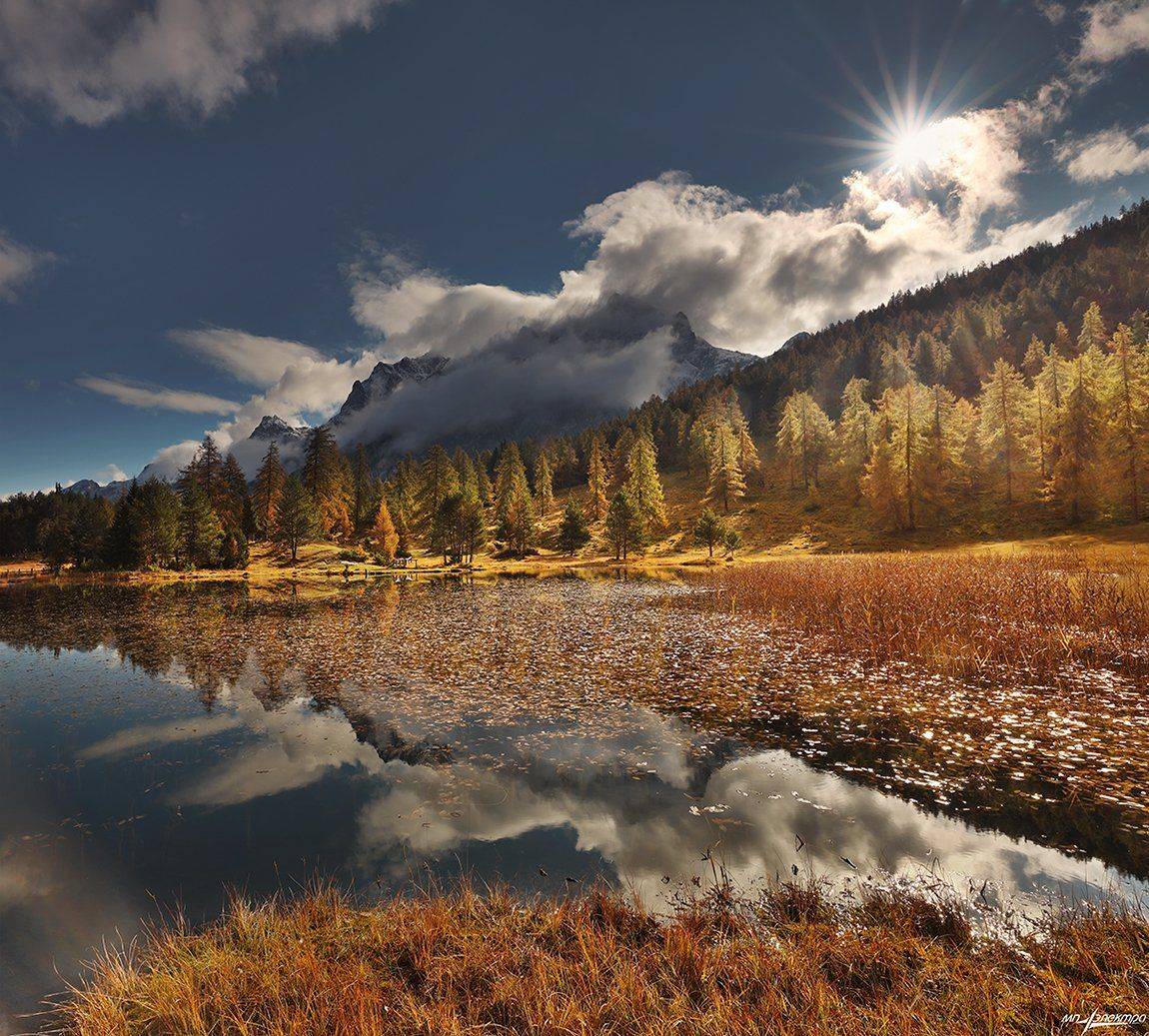 swiss, Матвеев Николай