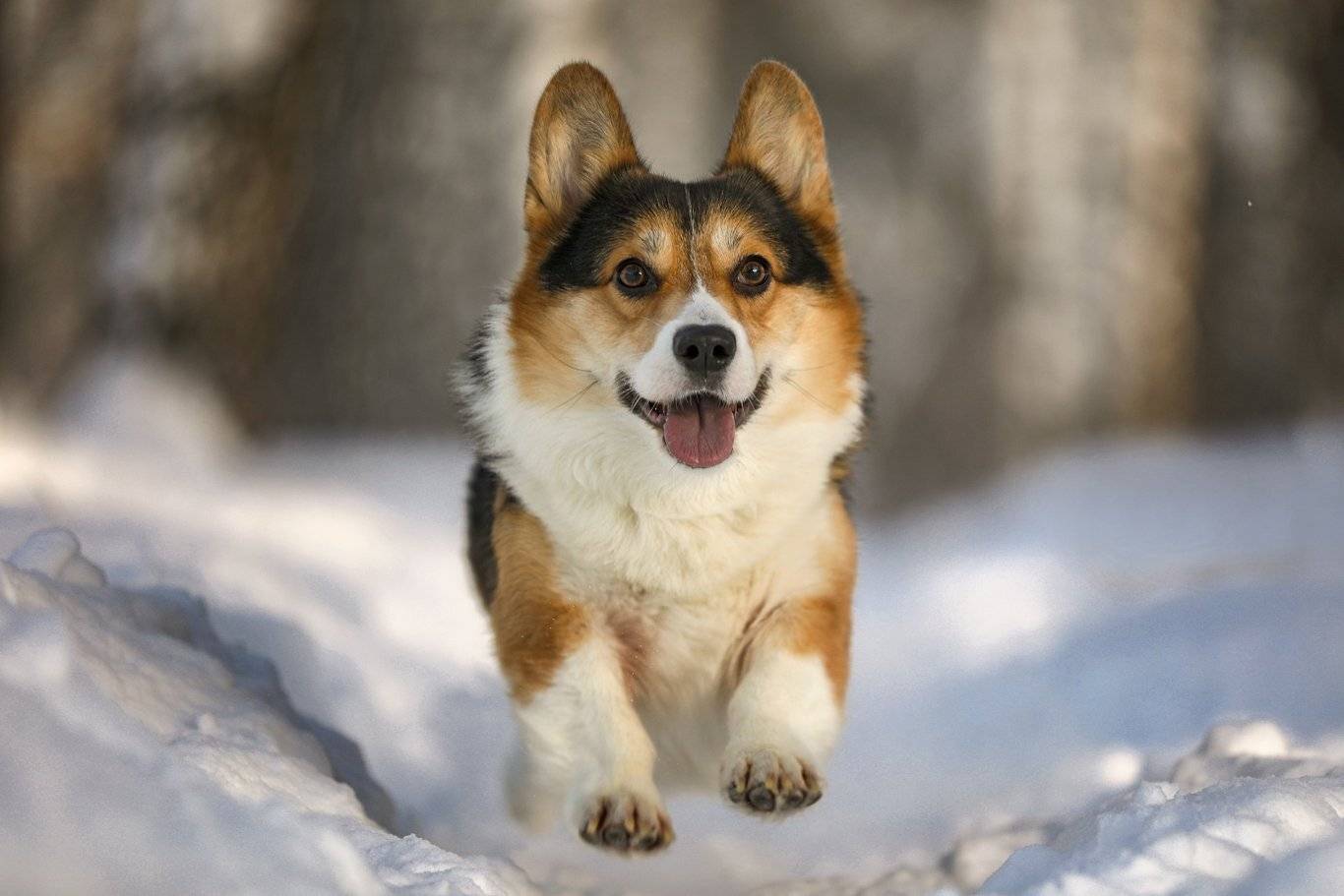 , Андрей Ершов