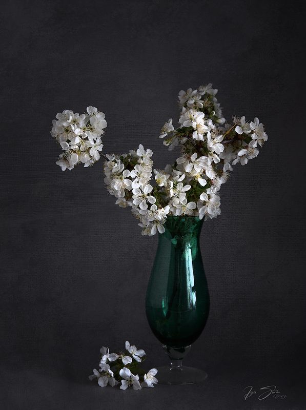 With the smell of spring фото превью