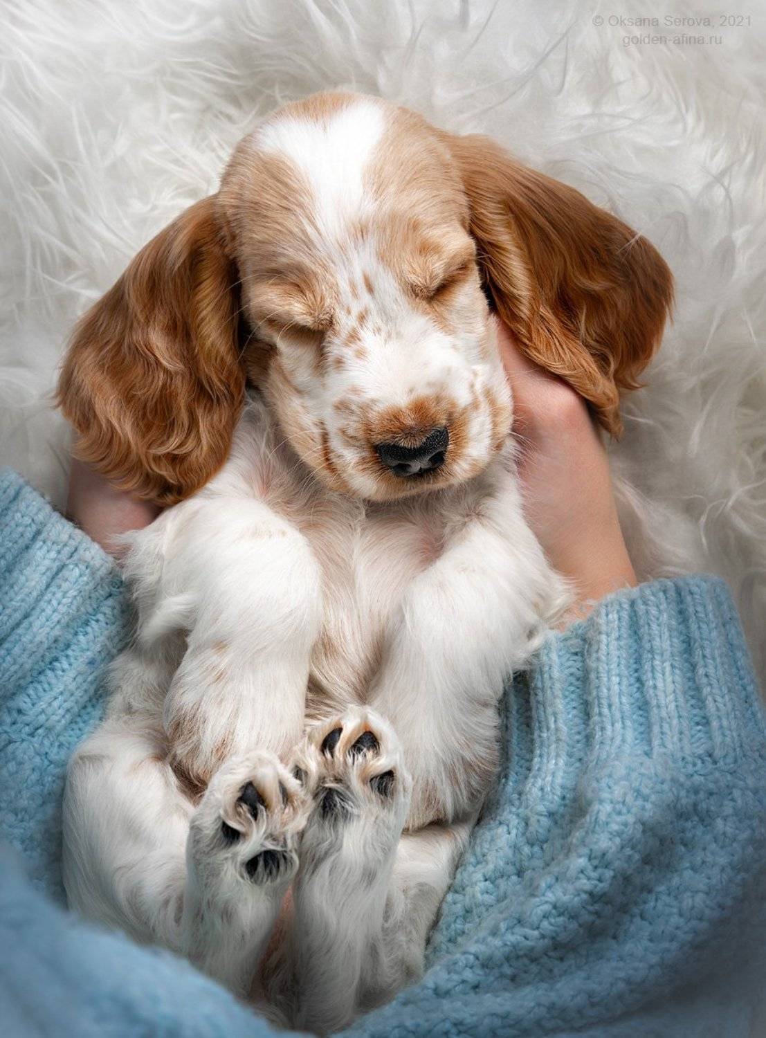 , Оксана Серова