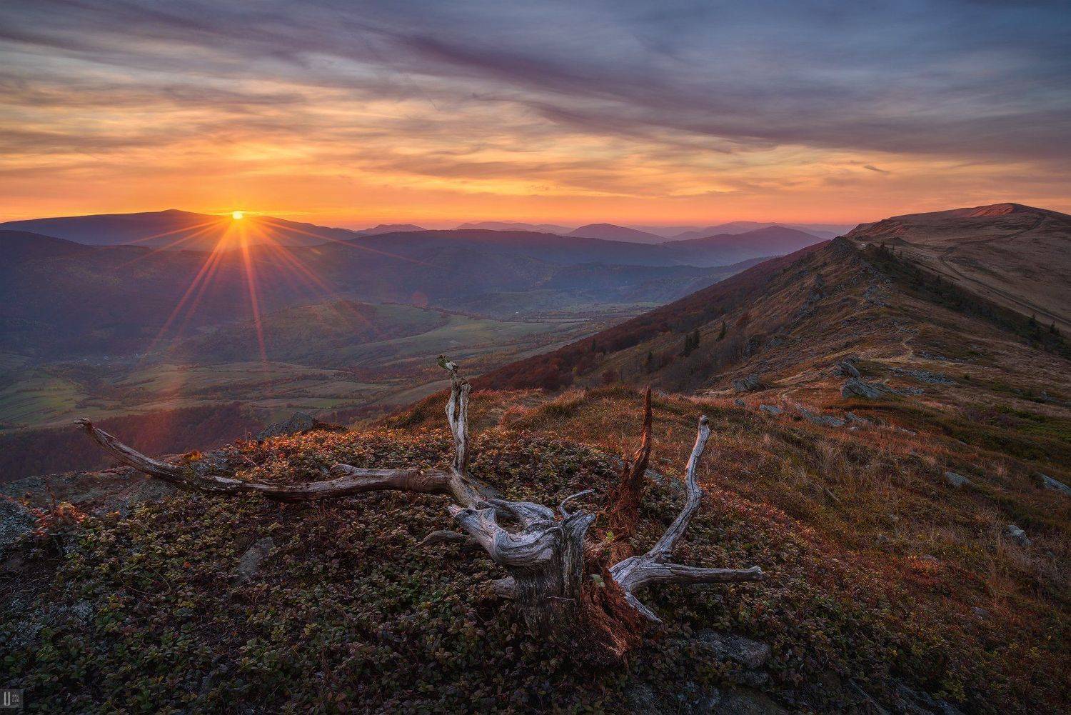 Uranus235, nightphotoua, пейзаж, закат,  горы, Карпаты, перевал, Русский путь, Вододельный, хребет, облака, солнце, камни, лес, бук, ветка, коряга, трава, долина, путешествие, природа, осень, U-235
