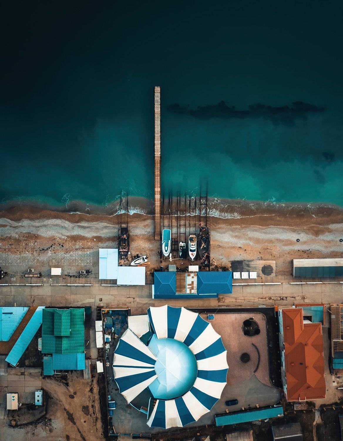 , Александр Шинкаревский