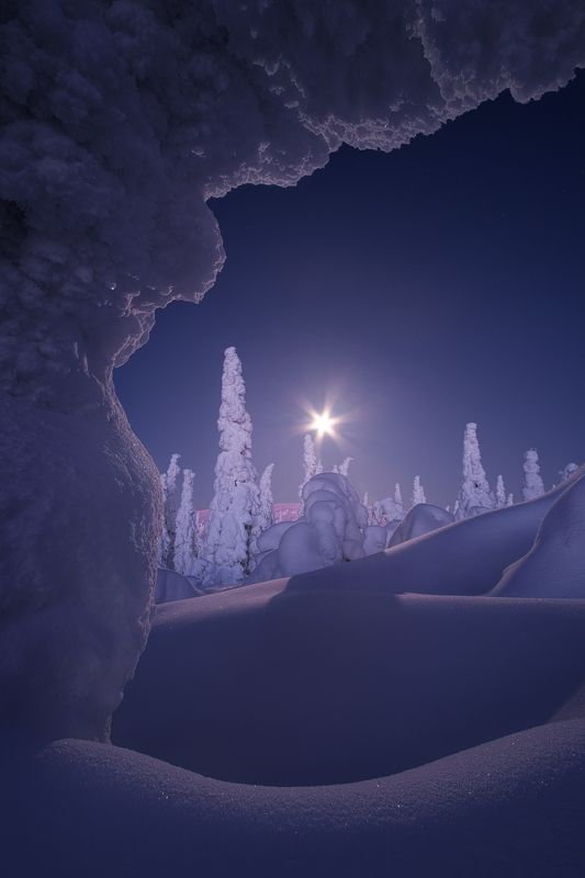 Холодная тишина. В окружении безмолвных великанов фото превью