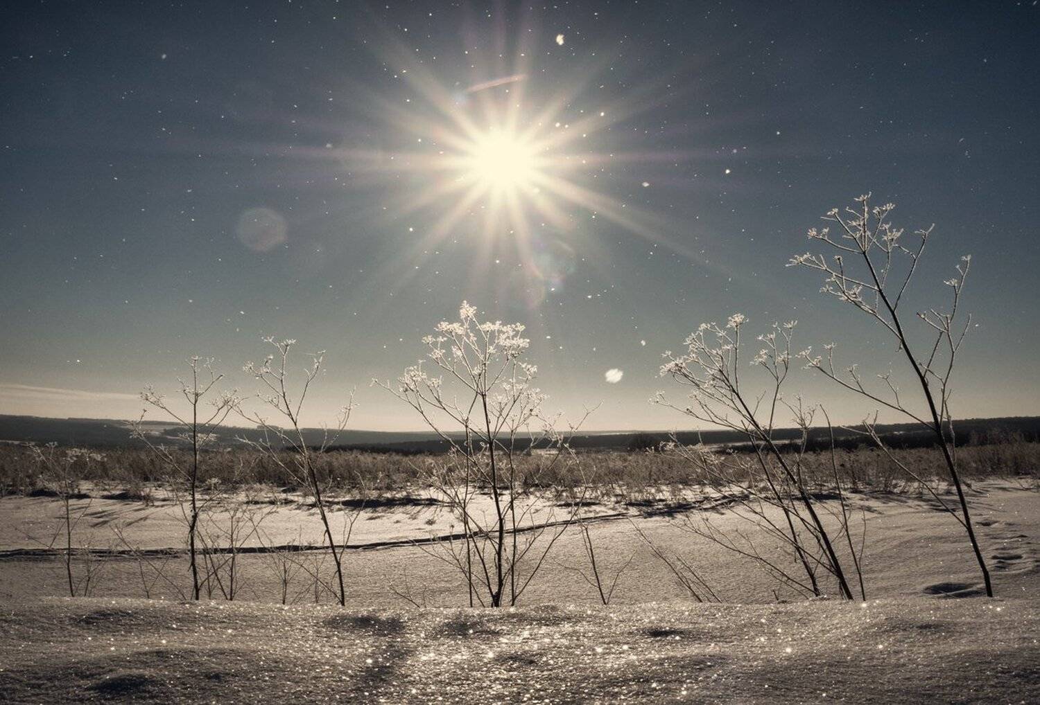 , Баранов Олег