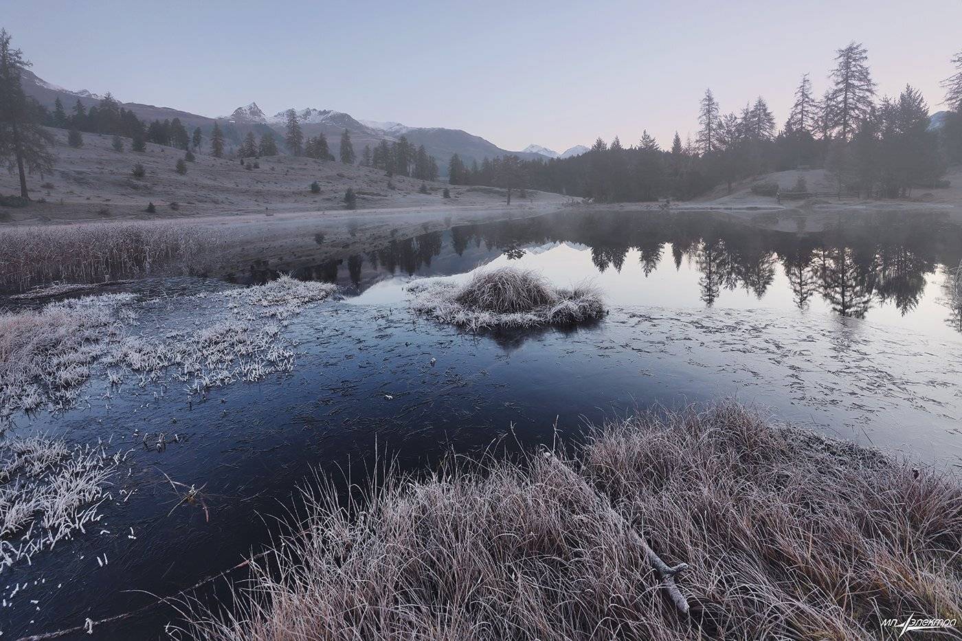 swiss, Матвеев Николай