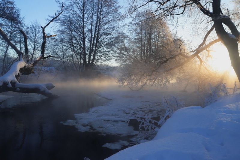 Солнечное утро фото превью
