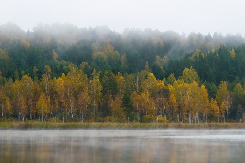 озеро изборск мальская псков природа туман вода осень оз.Мальское фото превью