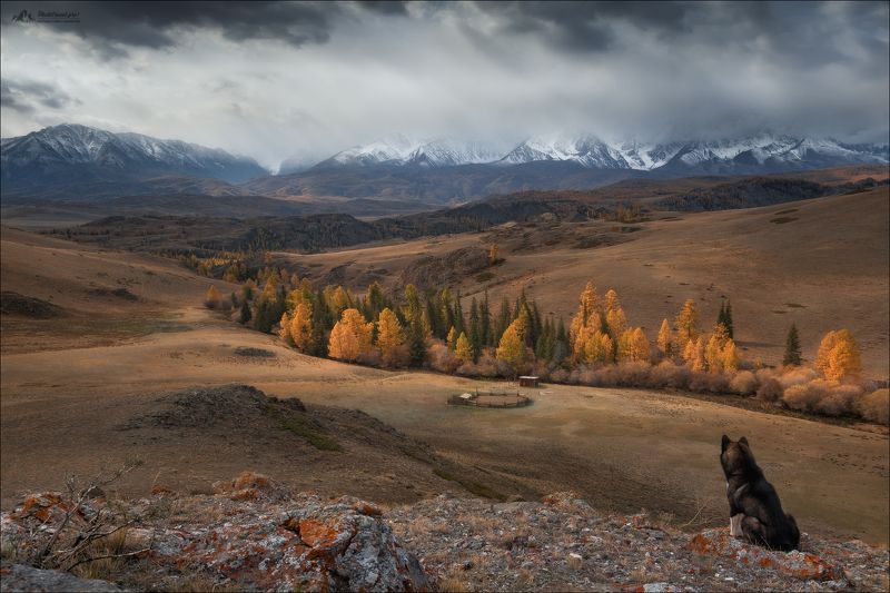 Созерцая красоту