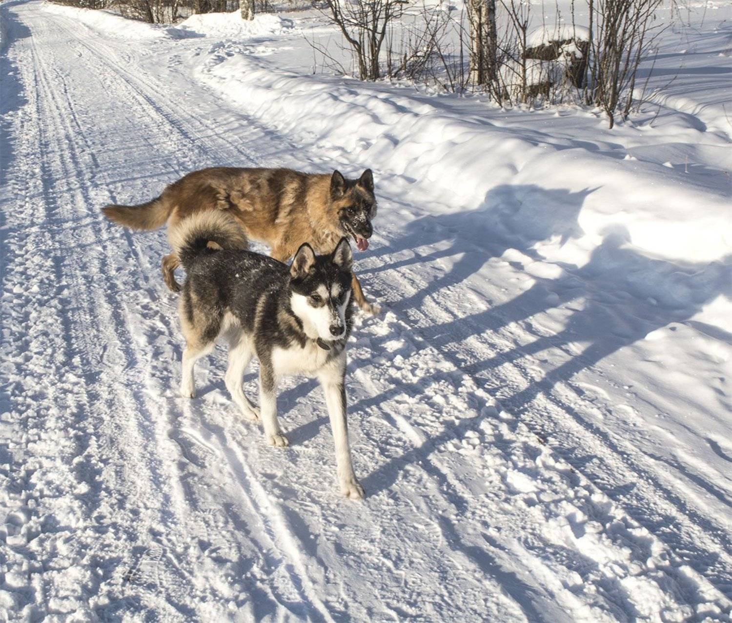 , Марина Никулина