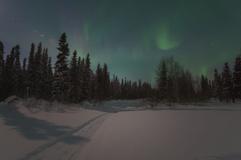 печора,коми,полярное сияние Лесная тропа фото превью