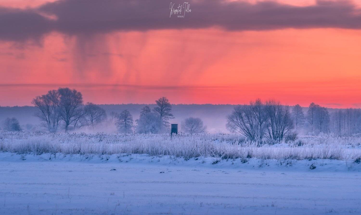 clouds, sky, light, nature, dawn, trees, frost, nikon, winter, fog, snow, sunrise, landscape, atmosphere, Krzysztof Tollas