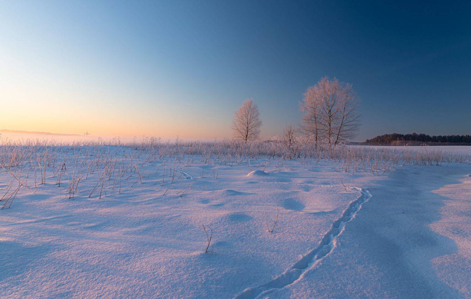 , Руслан Авдевич