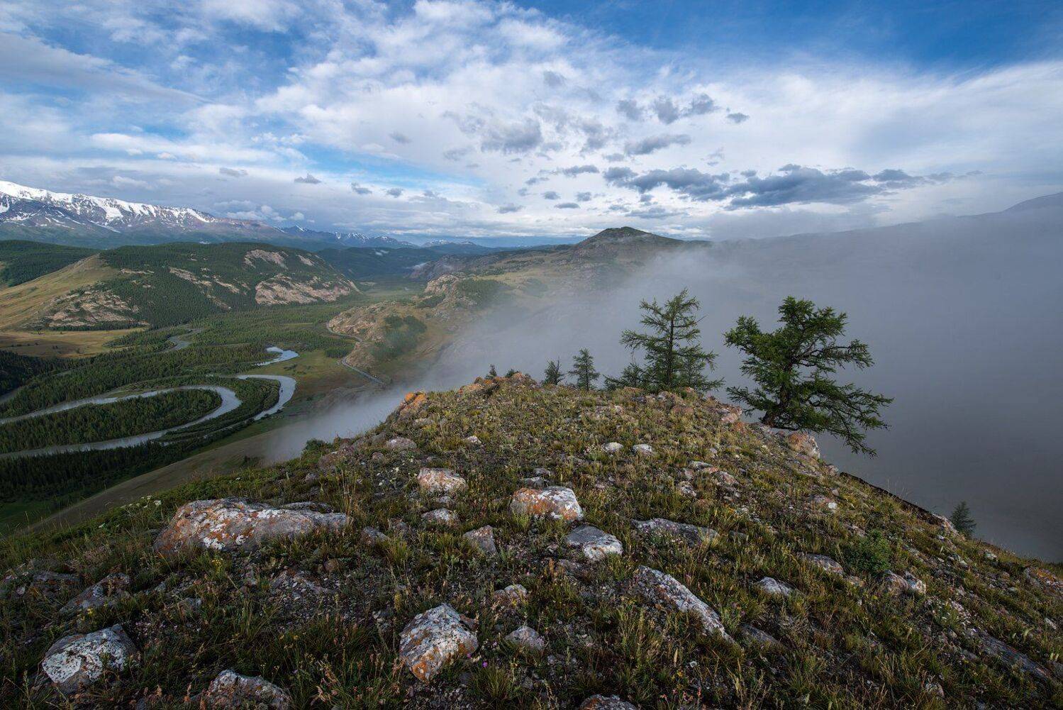 Алтай Курайская  Курай, Кутыгин Эдуард
