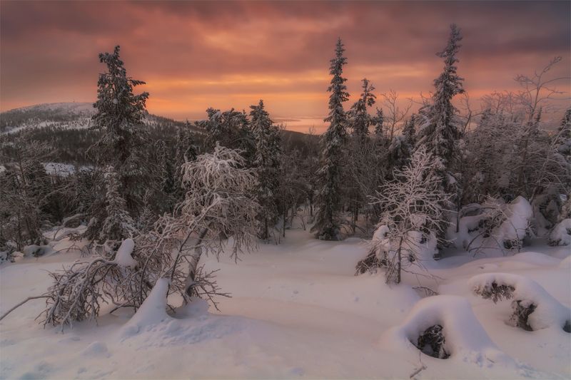 природа, пейзаж, север, кольский, панорама, природа россии, дикая природа, закат, свет, облака, вечер, лес, зима Сумерки фото превью