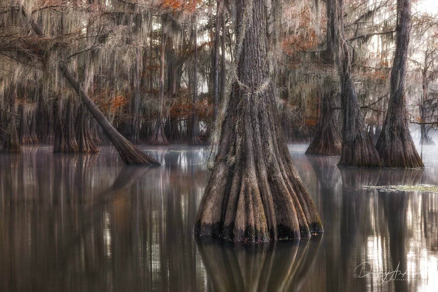 , Дмитрий Архипов