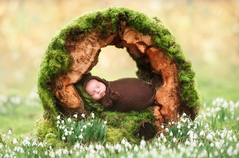 фото превью