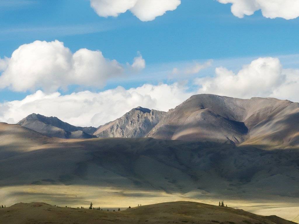 , Ольга Беккер