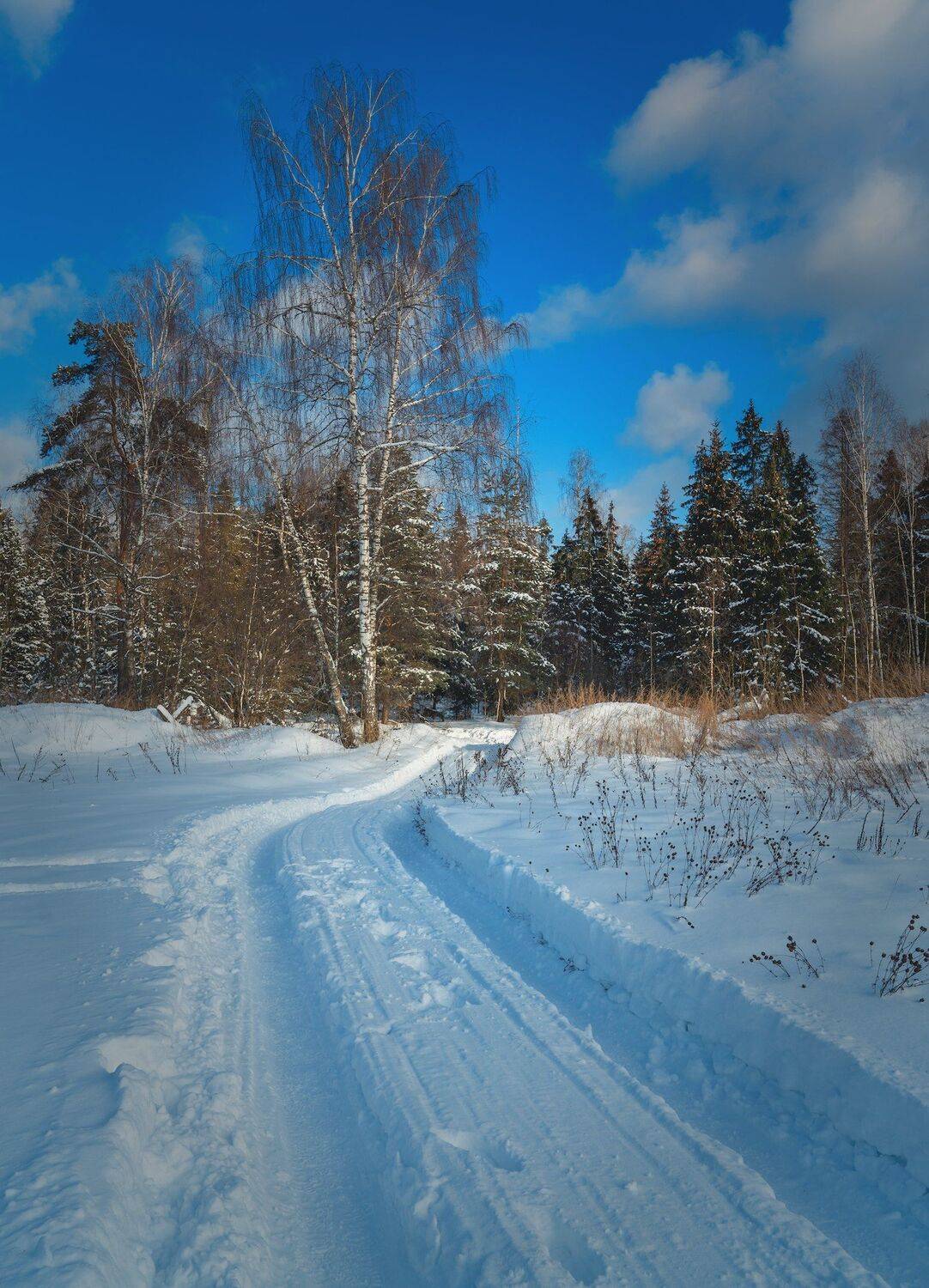 , Константин Дэм