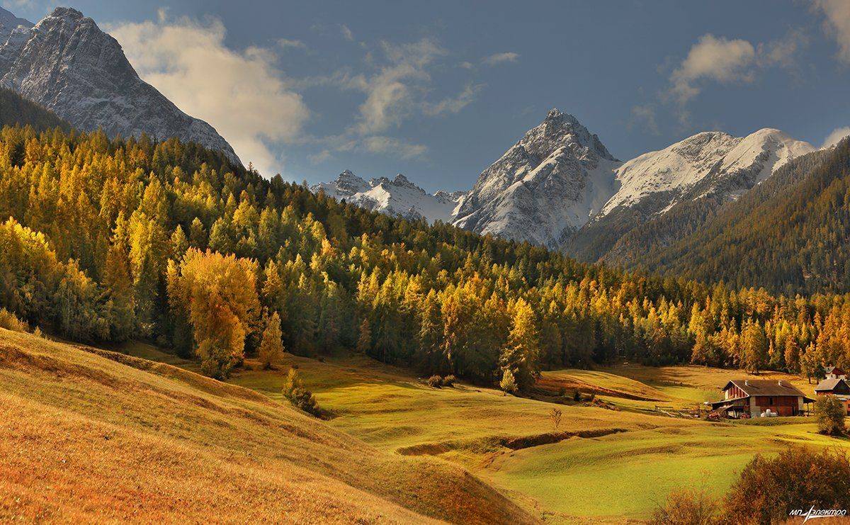 swiss, Матвеев Николай