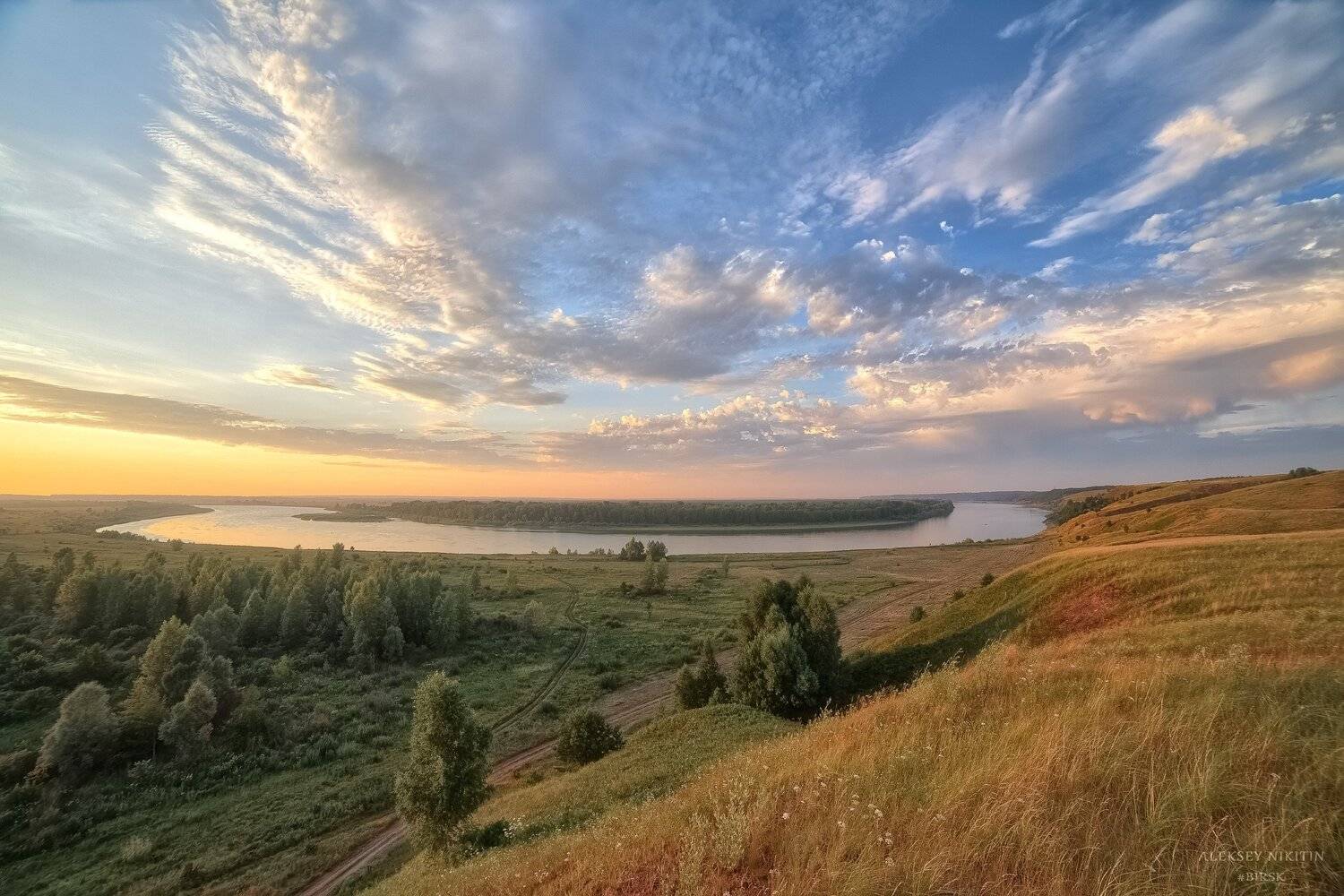 , Алексей Никитин