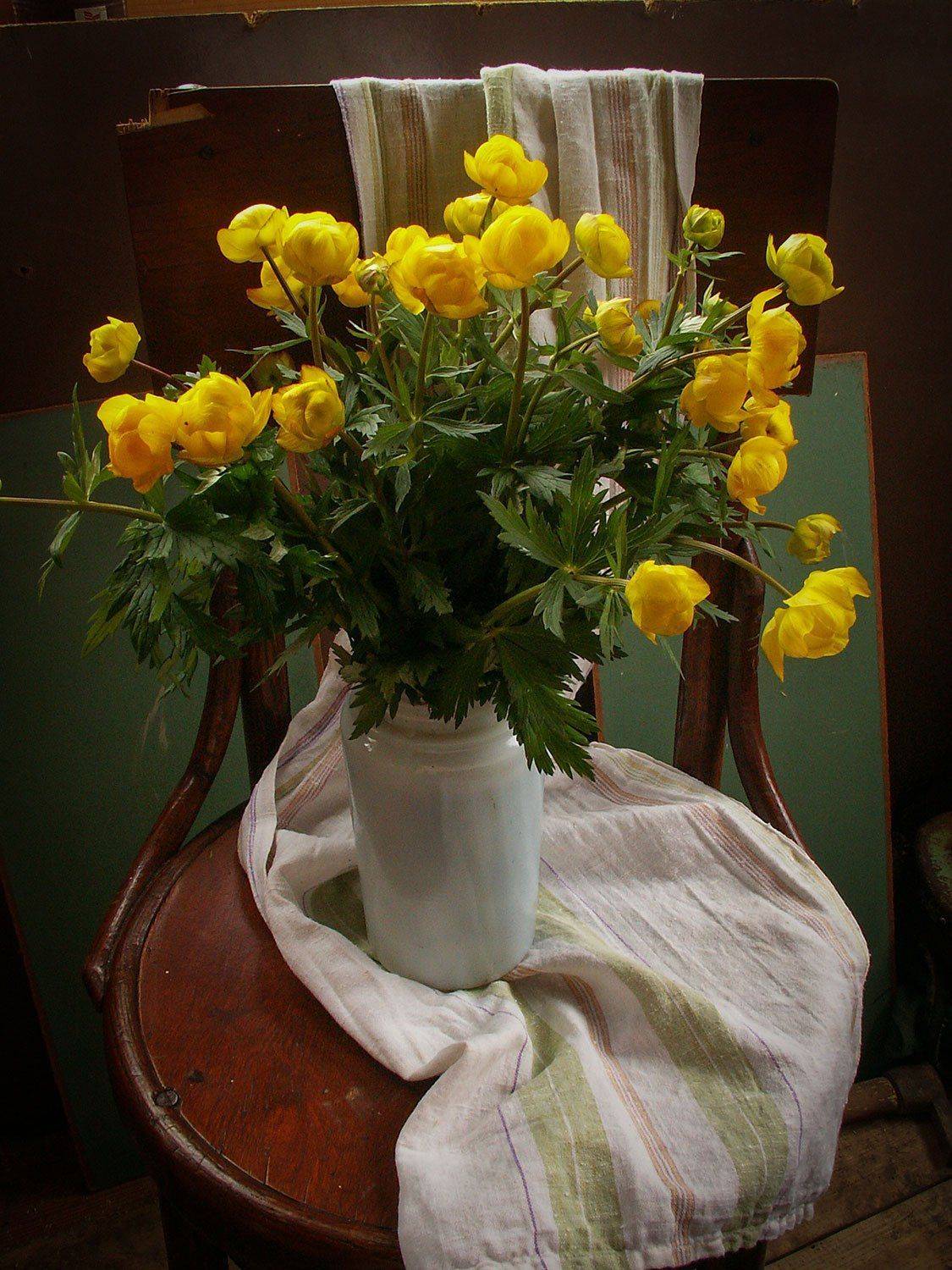 , Александр  Швачко