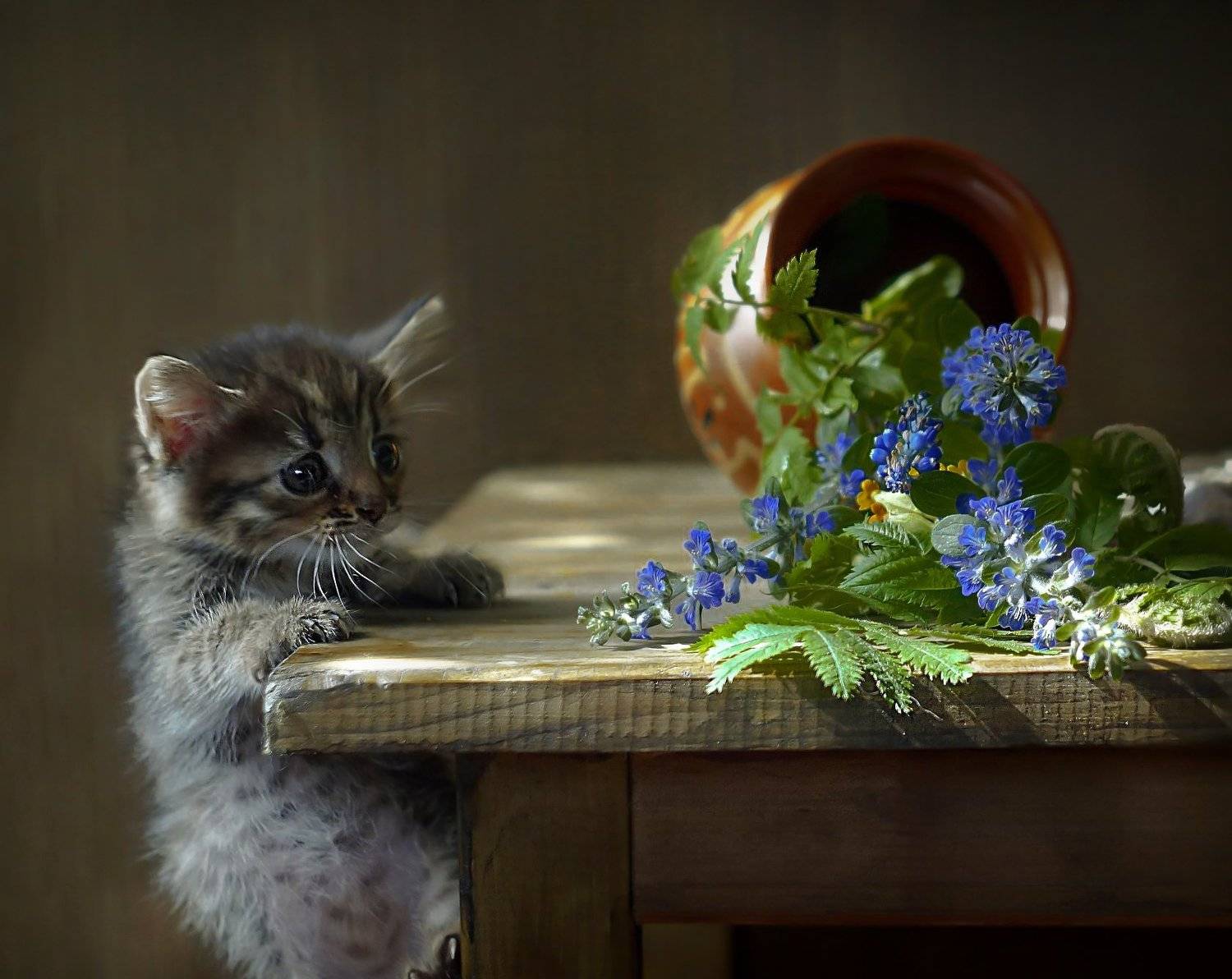 , Светлана Сушкевич