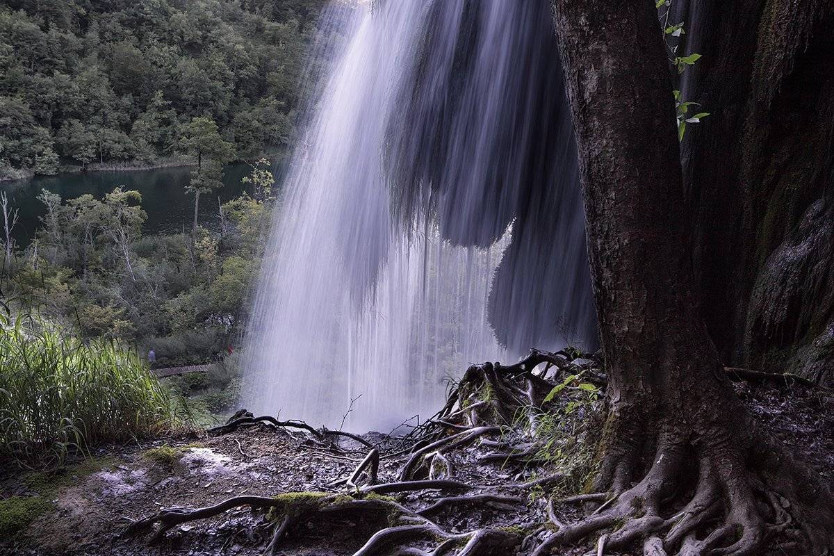 , Игорь Дубровский