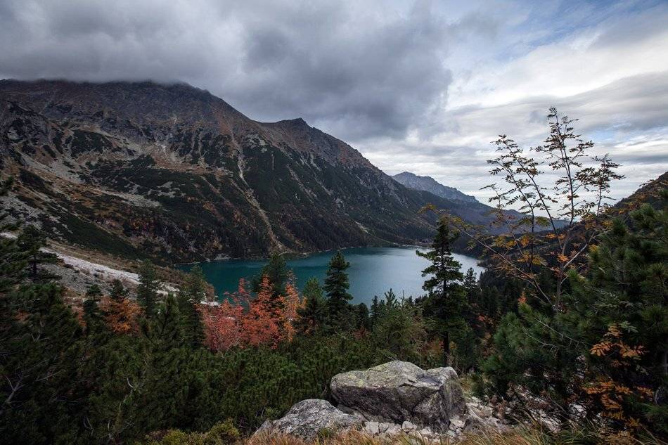 , Людмила Прокофьева