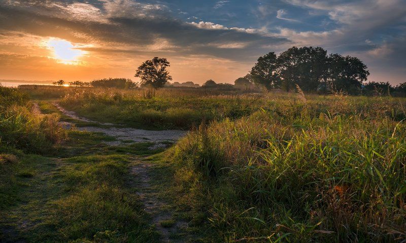 *** фото превью