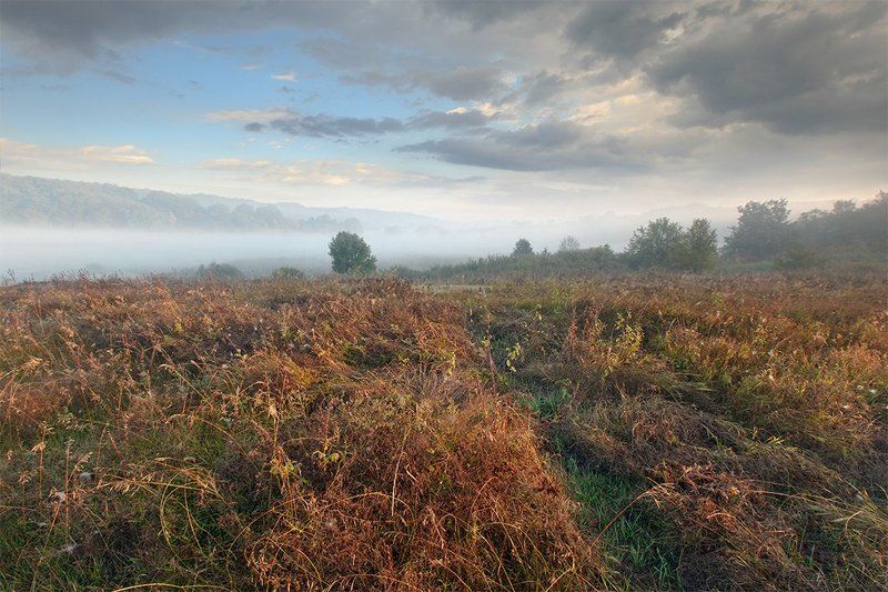 *** фото превью