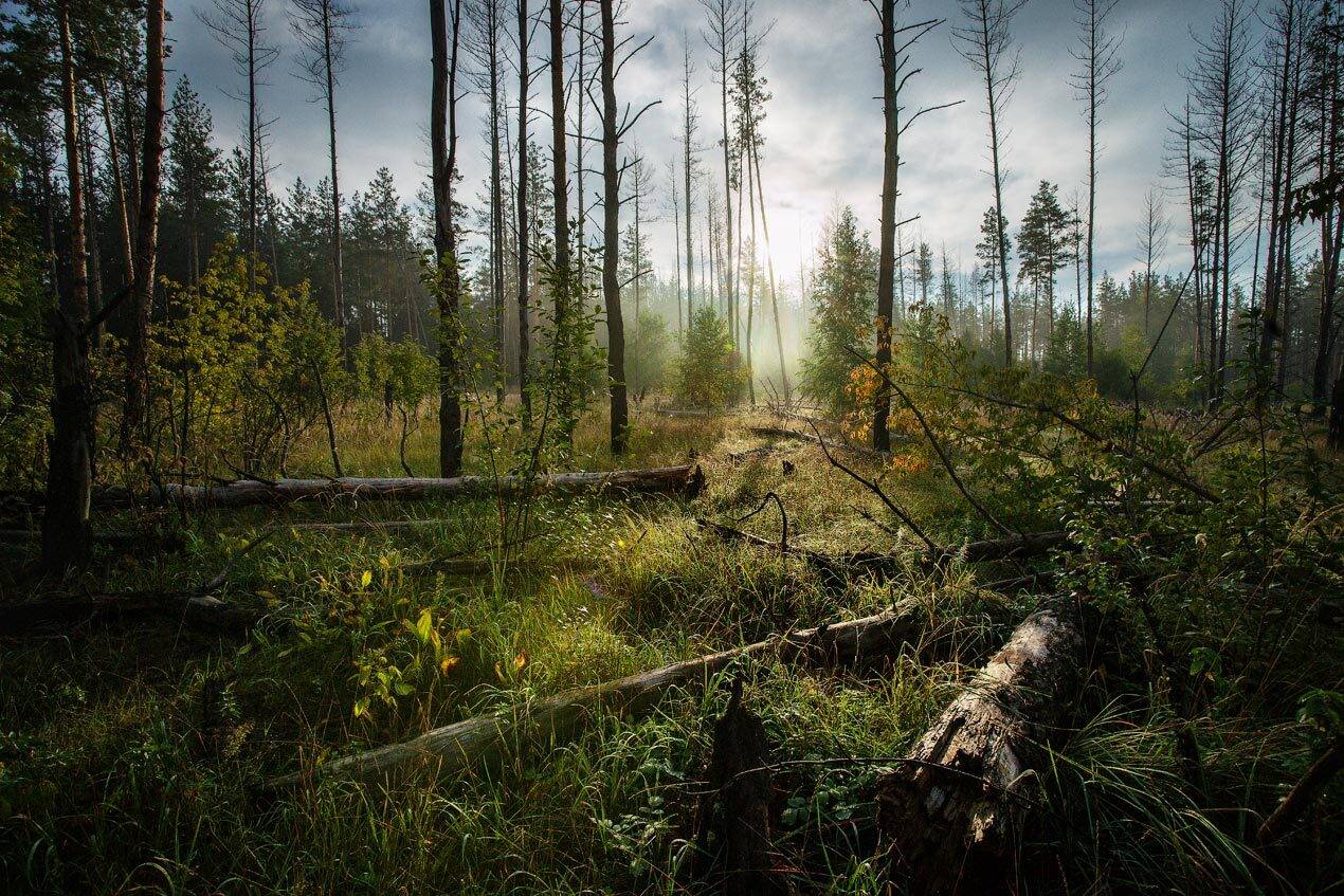 , Владимир Ляпин