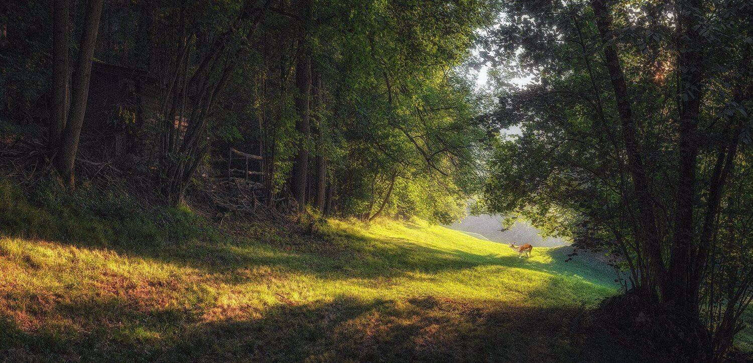 , Игорь Мелекесцев