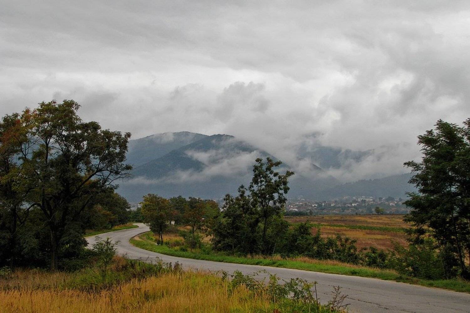 , Ирина Костова