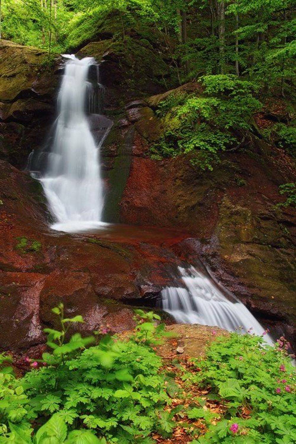 , Тихомир Младенов