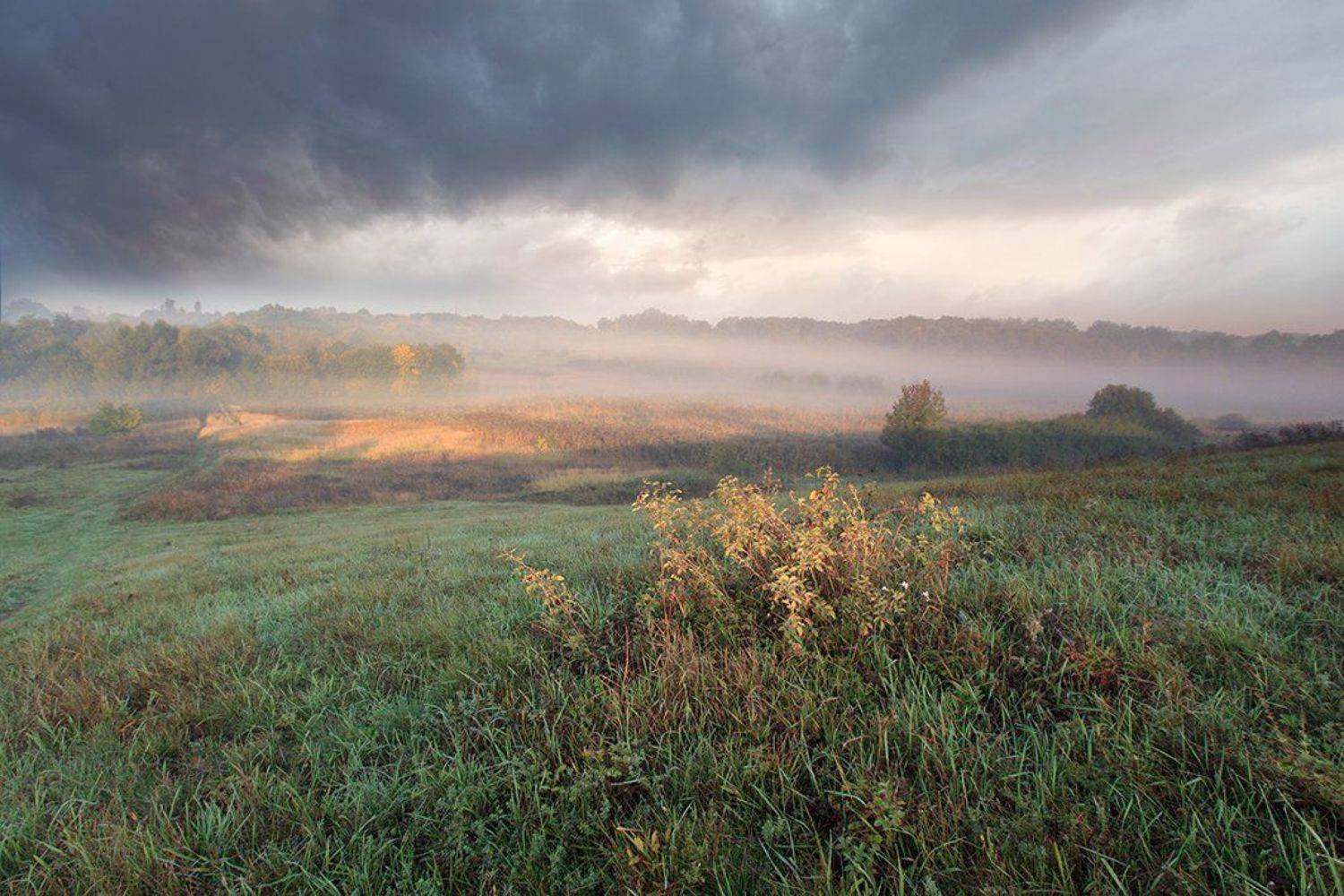 , Петр Антонович