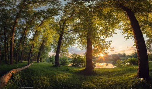 Берег детства