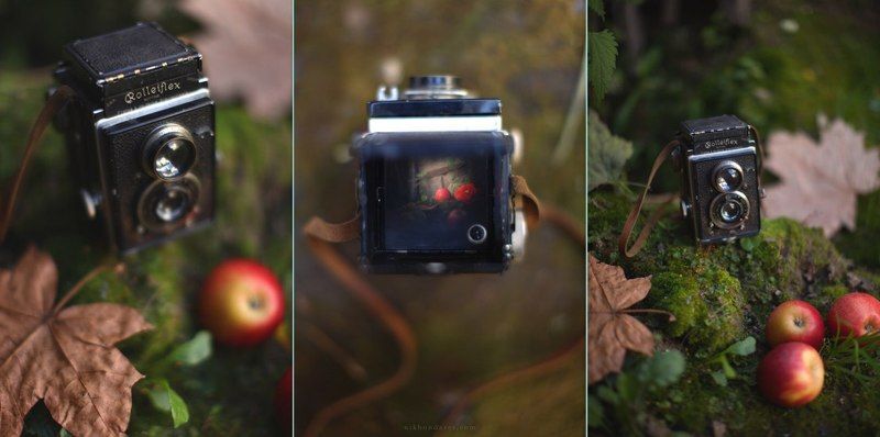 Aple, Autumn, Barocco, Car, Door, Dust, Ethno, Fall, Maple, Old, Oldschool, Rolleflex, September fall фото превью