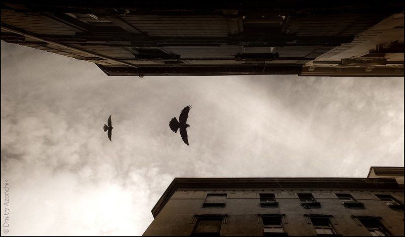 memories... фото превью