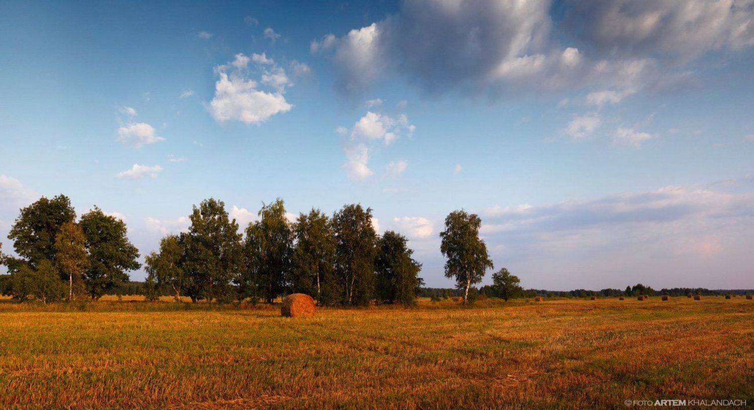 , Артем Халандач