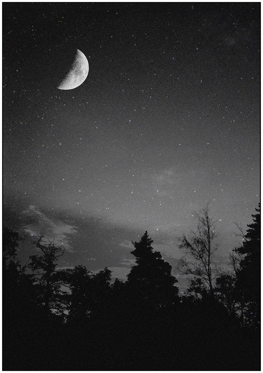 , Роман Рыжков