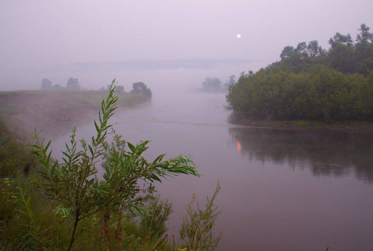 , Николай Морский