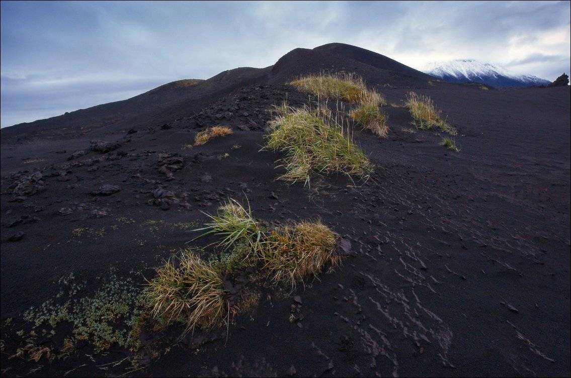 , Вадим Никифоров