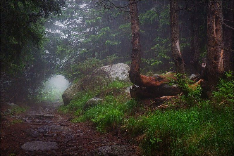 bulgaria, vitosha  фото превью