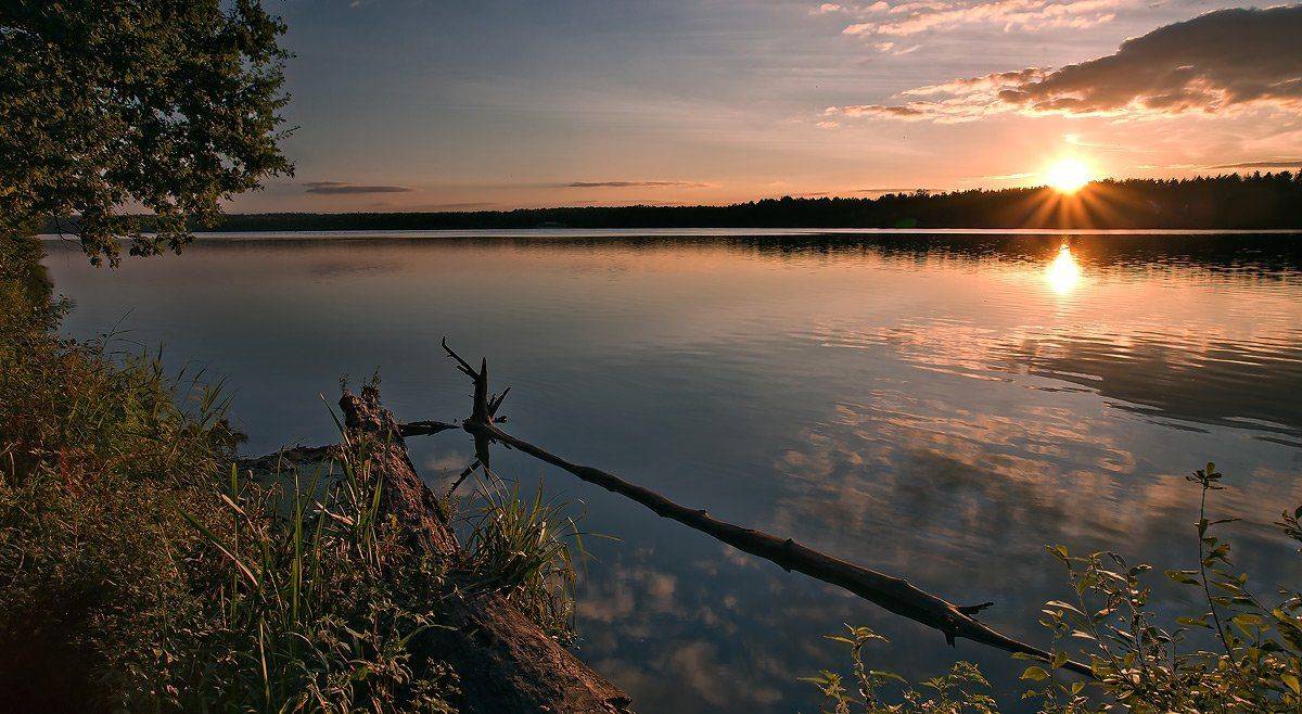 купавна., бисерово., Андрей Леонидович