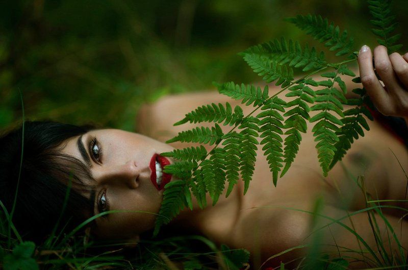 фото превью