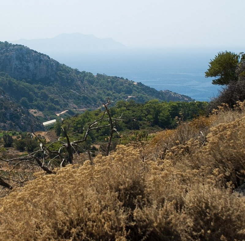 .... фото превью